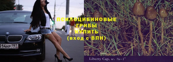 винт Белоозёрский