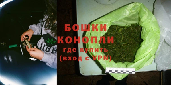 эйфоретик Белокуриха