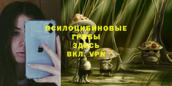 винт Белоозёрский